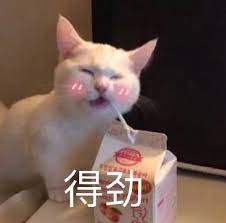 得劲的猫咪