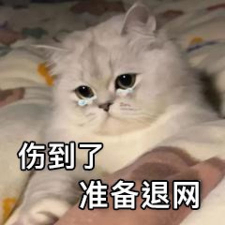 猫咪哭泣退网
