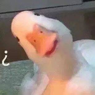 迷惑鸭子