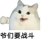 战斗猫