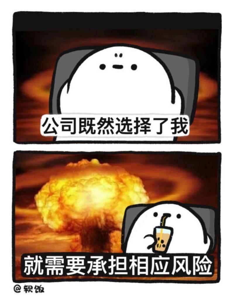 公司选择与风险