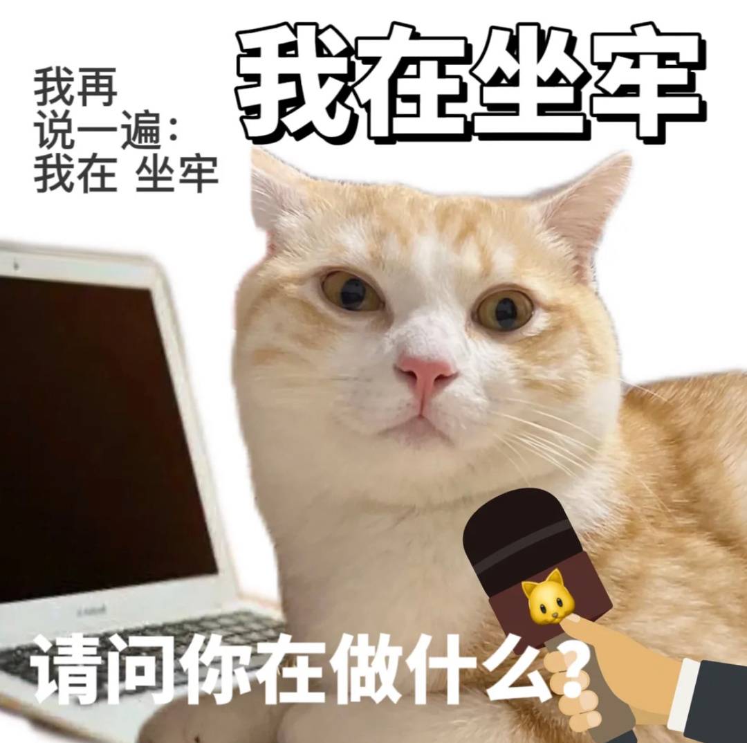 猫咪在坐牢