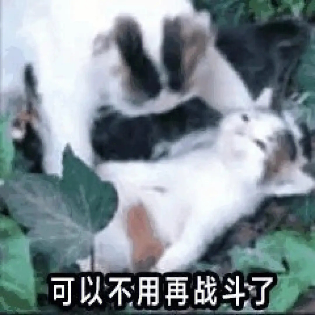 猫咪躺平认输