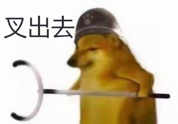 又出去浪了吧