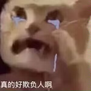 真的好欺负人啊