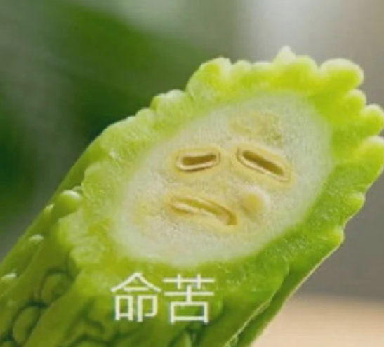 苦瓜的无奈