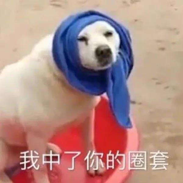 我中了你的圈套