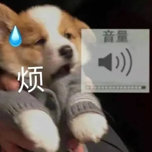 小狗狗的烦恼