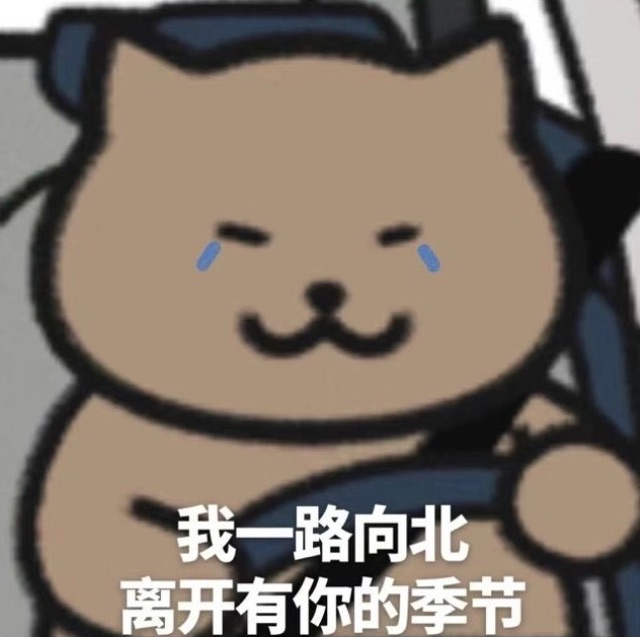 我一路向北，离开有你的季节