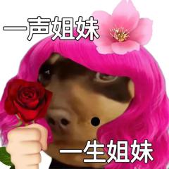 一声姐妹一生姐妹