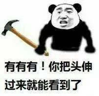 你把头伸过来就能看到了