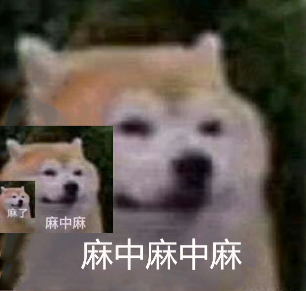 麻中麻中麻