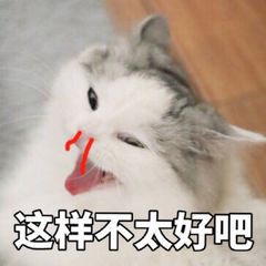 尴尬猫咪