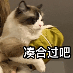 猫咪凑合过吧
