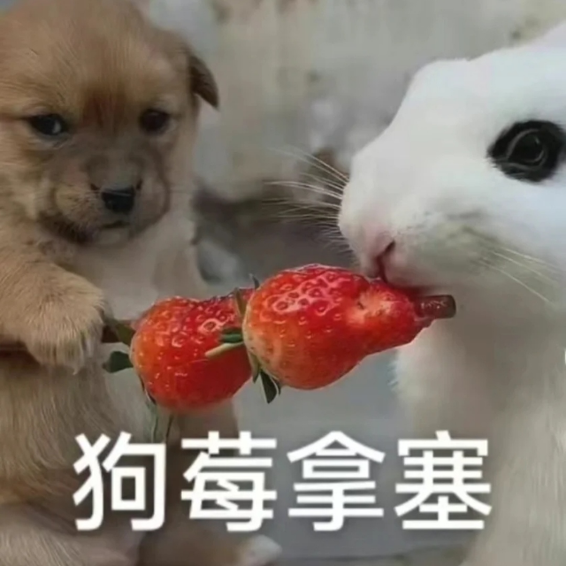狗莓拿塞