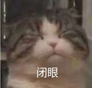 猫咪闭眼表情包