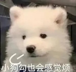 小狗勾也感觉烦