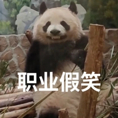 职业假笑的熊猫