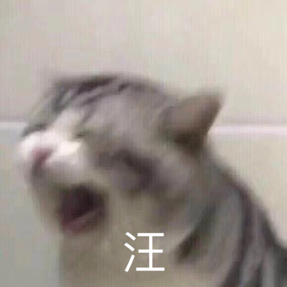 猫咪汪汪叫
