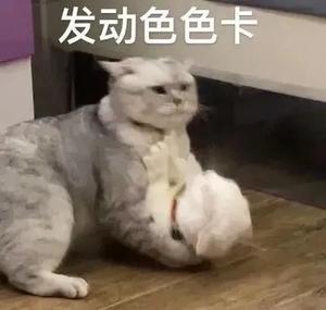 发动色色卡