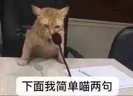 猫咪开会