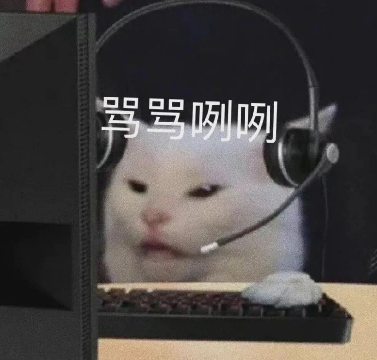 猫咪客服的无奈
