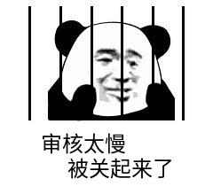 审核太慢被关起来了