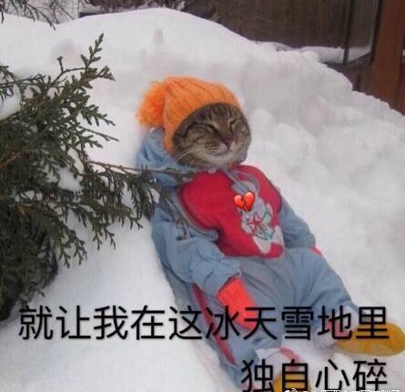 冰天雪地独自心碎