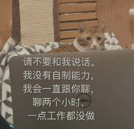请不要和我说话，我会一直跟你聊