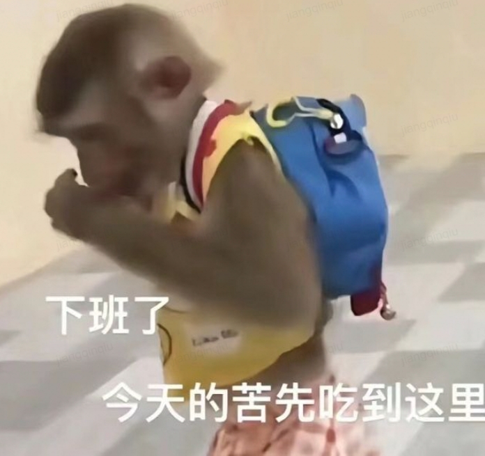 下班的猴子