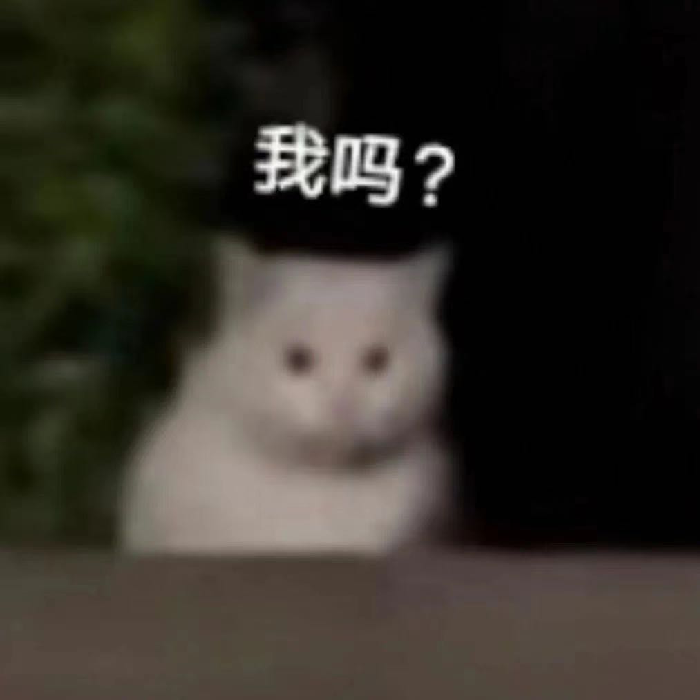 疑惑猫