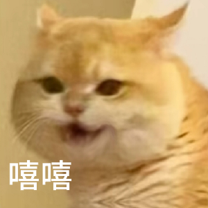 震惊猫咪