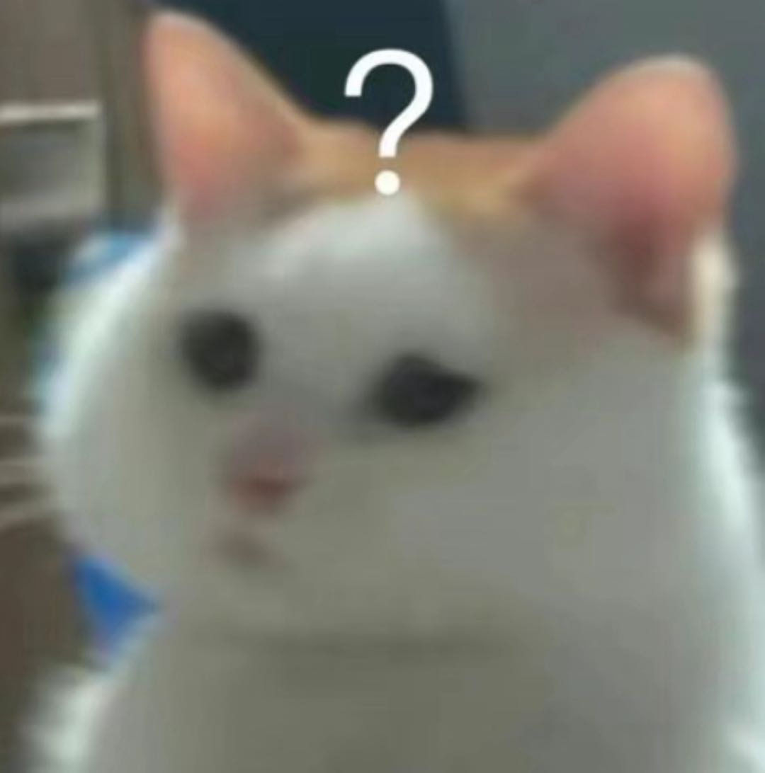 疑惑猫