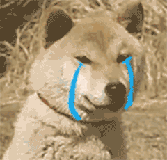 狗狗流泪