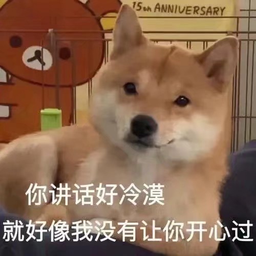 冷漠柴犬