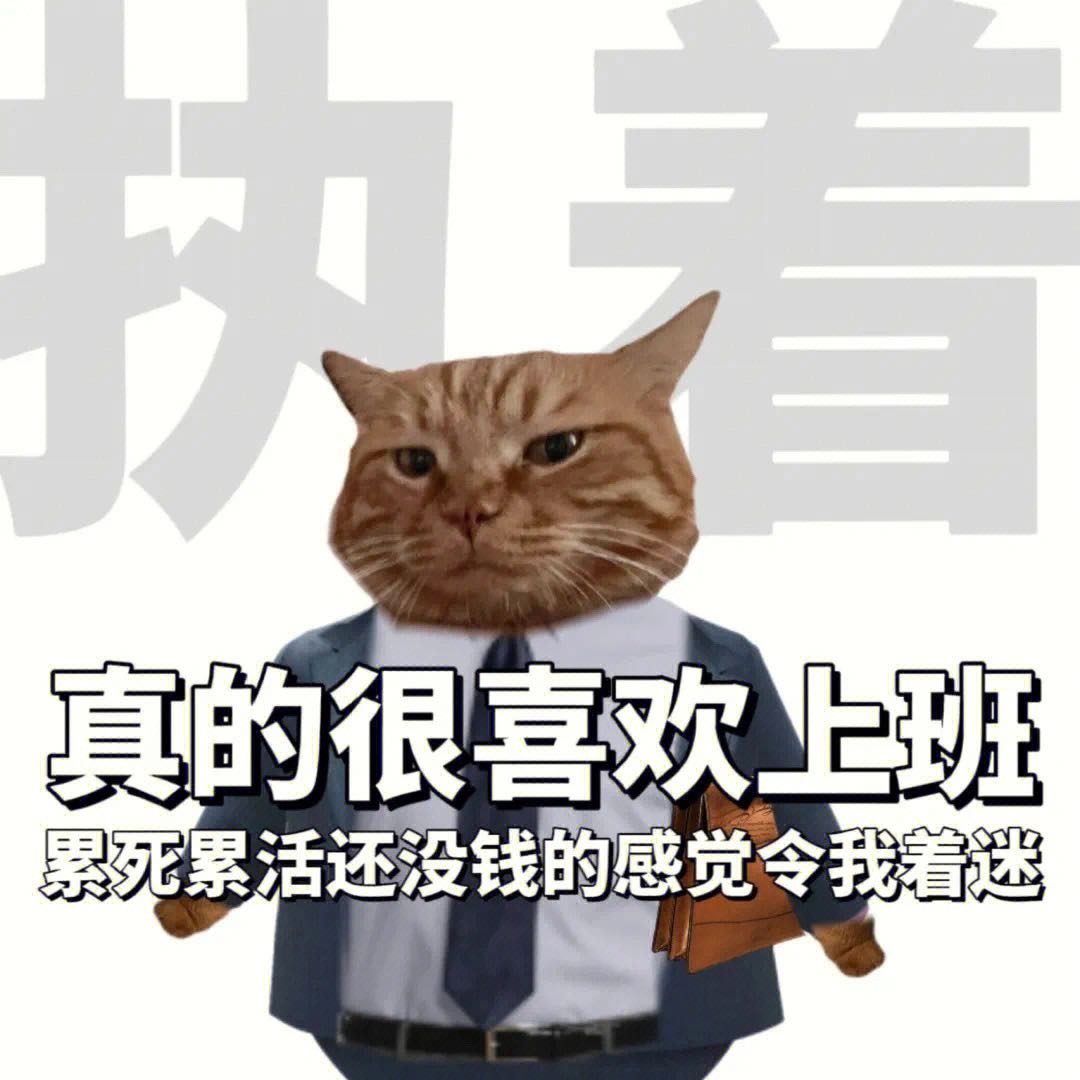 猫咪上班族