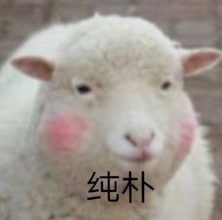 纯朴的小羊