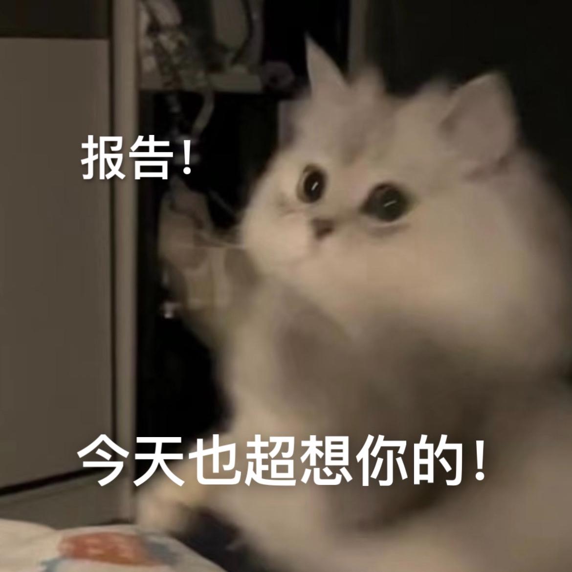 报告！今天也超想你的！