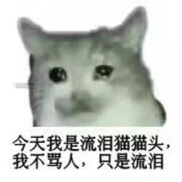 流泪猫猫头