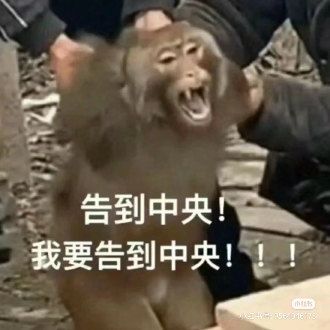 告到中央的猴子
