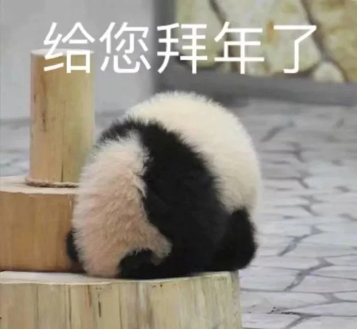 熊猫拜年