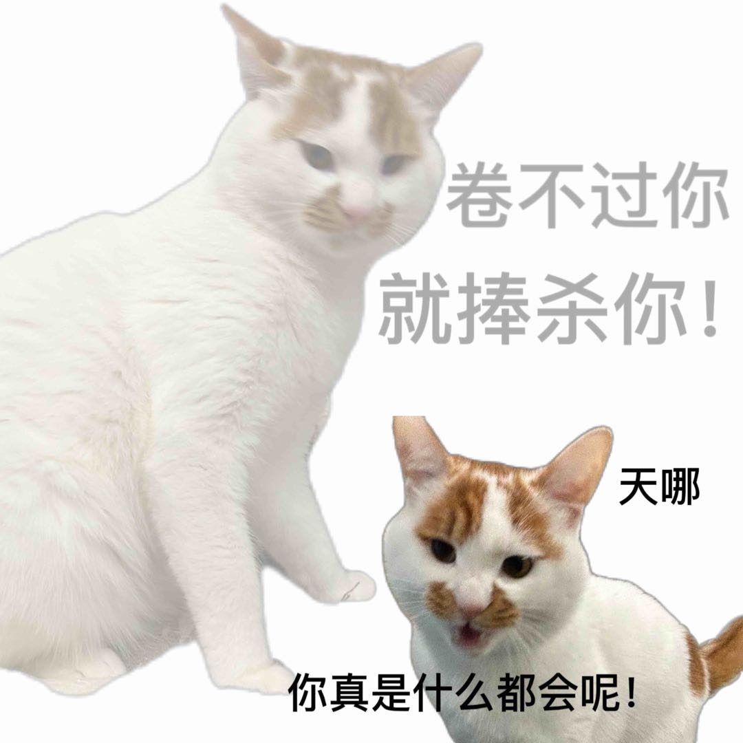 猫咪卷王表情包