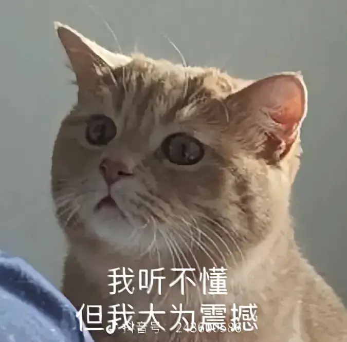 我听不懂，但大为震撼