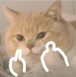 猫咪比心