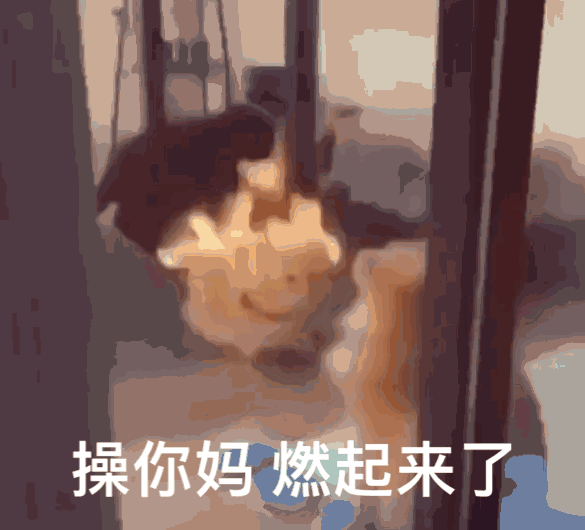 燃起来了