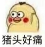 猪头好痛