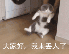 猫咪丢人表情包