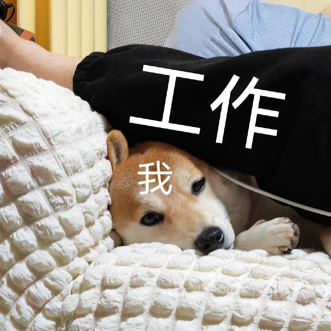工作与我
