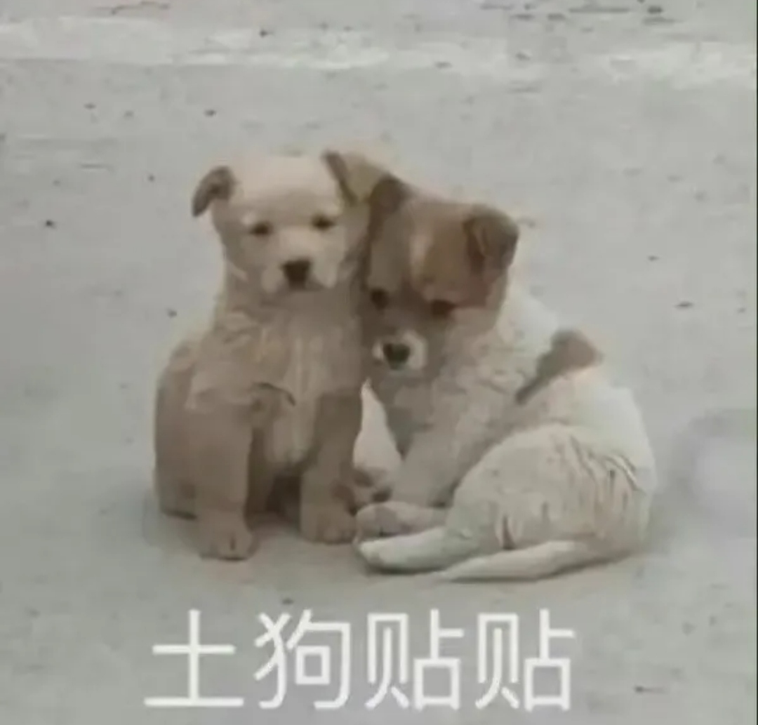 土狗贴贴