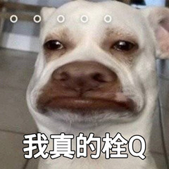 我真的栓Q